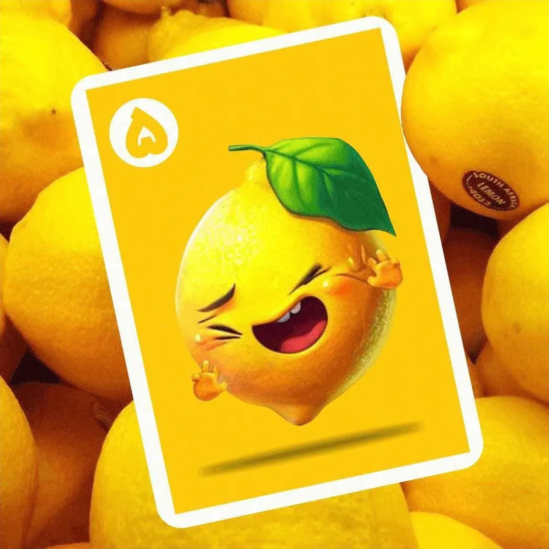 بی لاف 6